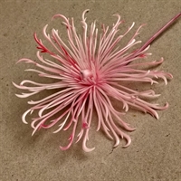 rosa chrysanthemum retro plastik kunstig blomst gammel